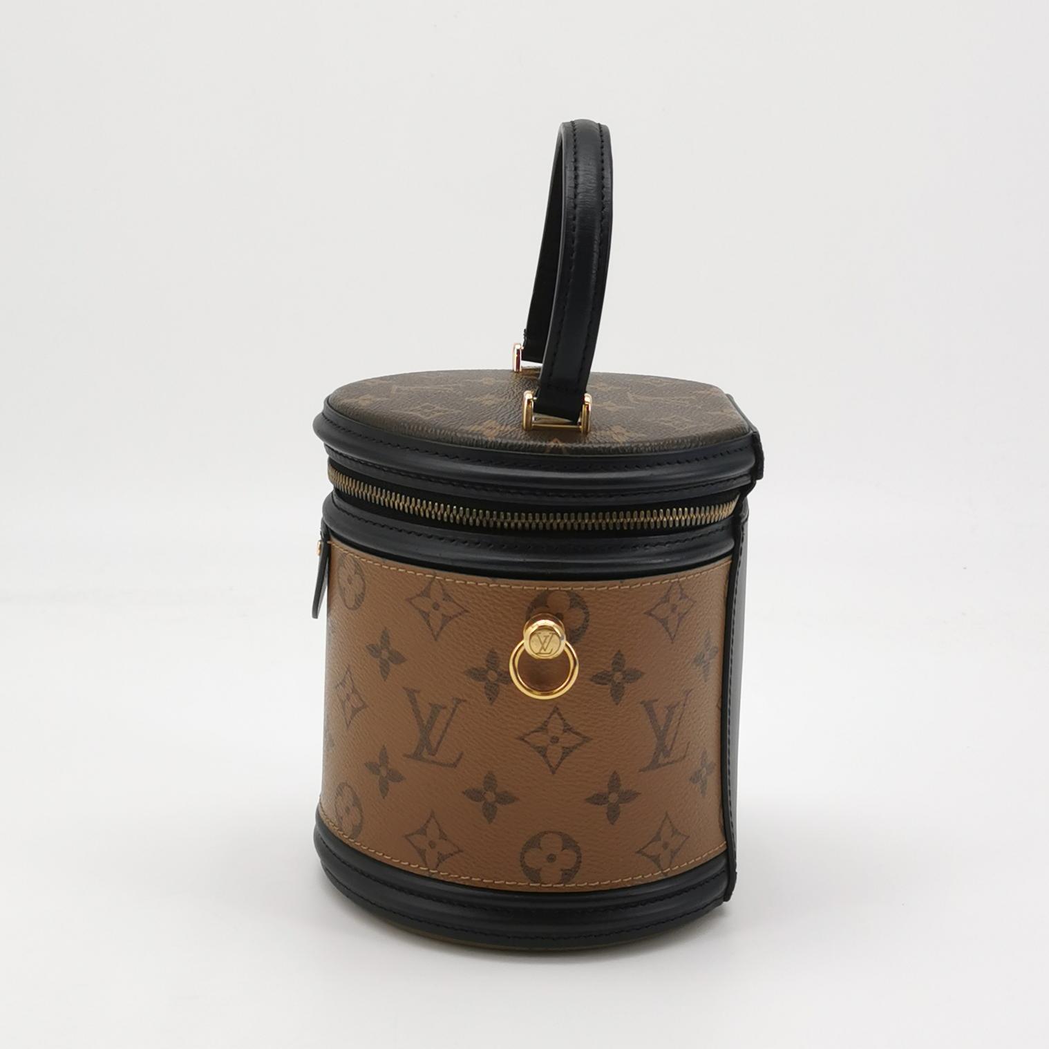 Louis Vuitton Cannes Monogram Reverse in Brown Coated Canvas with Leather Trim view 3