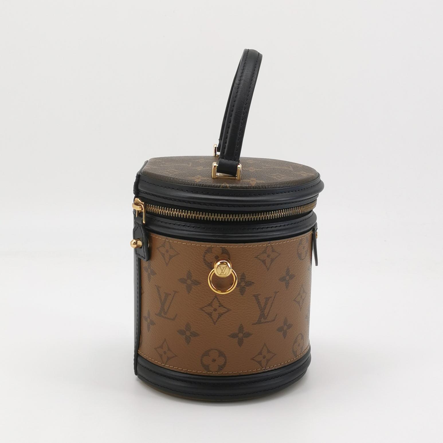 Louis Vuitton Cannes Monogram Reverse in Brown Coated Canvas with Leather Trim view 4
