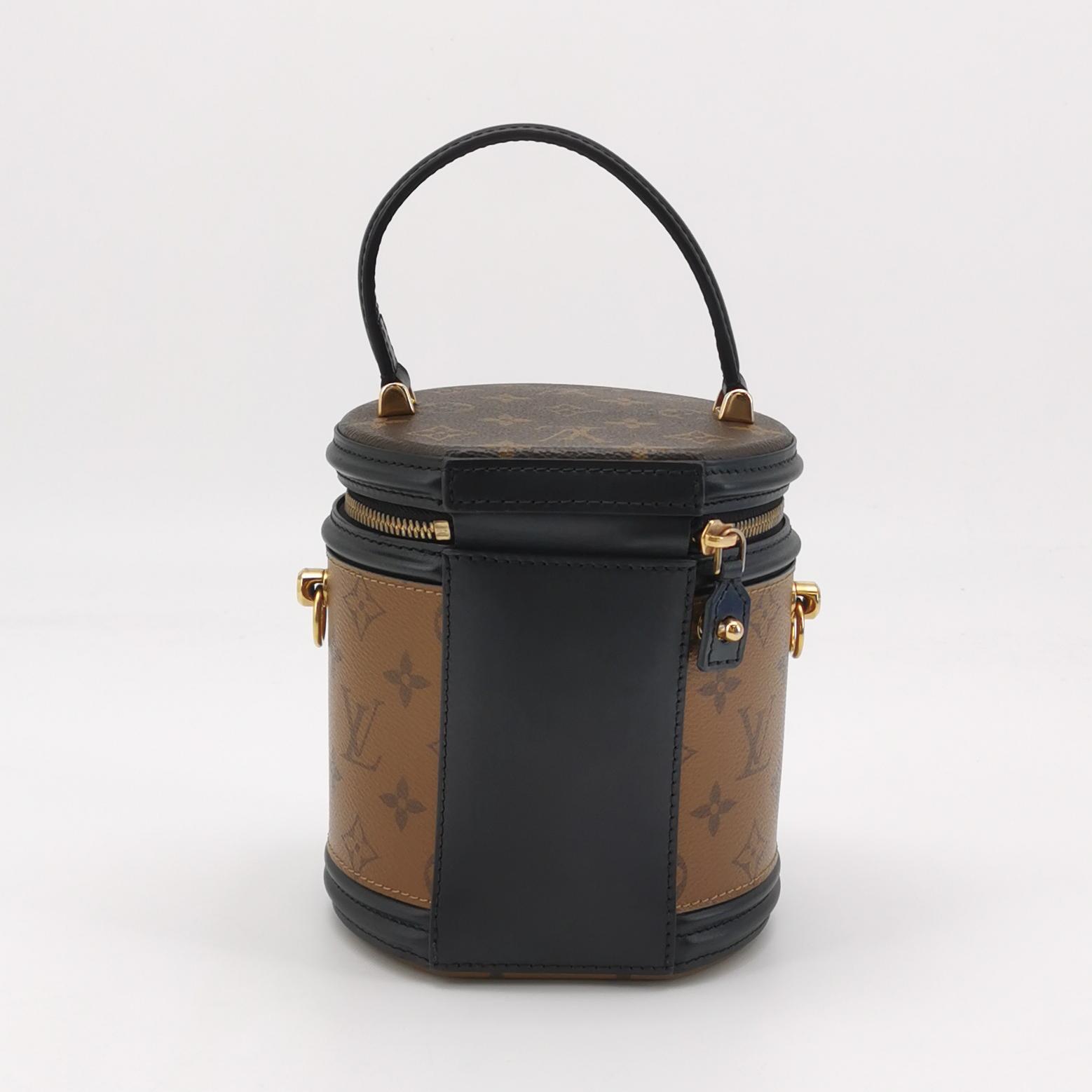 Louis Vuitton Cannes Monogram Reverse in Brown Coated Canvas with Leather Trim view 5