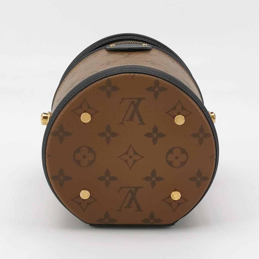 Louis Vuitton Cannes Monogram Reverse in Brown Coated Canvas with Leather Trim view 6