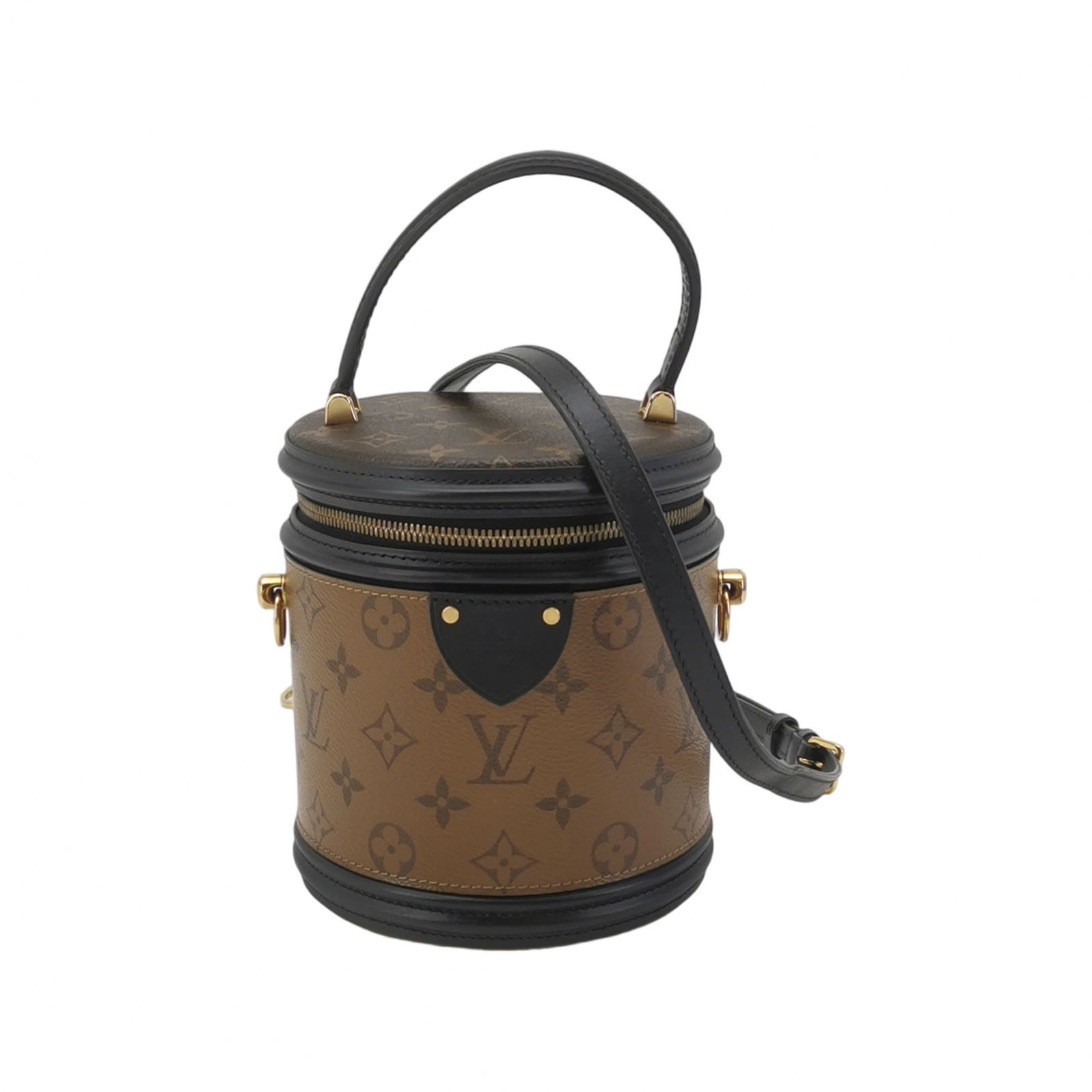 Louis Vuitton Cannes Monogram Reverse in Brown Coated Canvas with Leather Trim